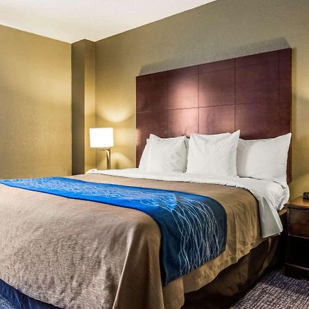 Comfort Inn Atlanta Downtown South Εξωτερικό φωτογραφία
