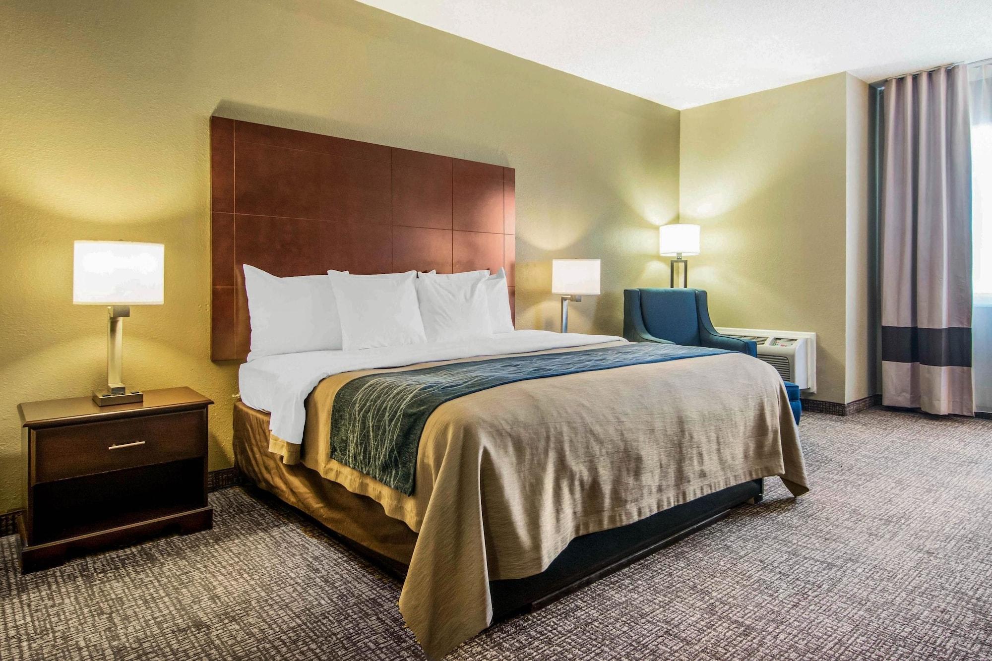 Comfort Inn Atlanta Downtown South Εξωτερικό φωτογραφία