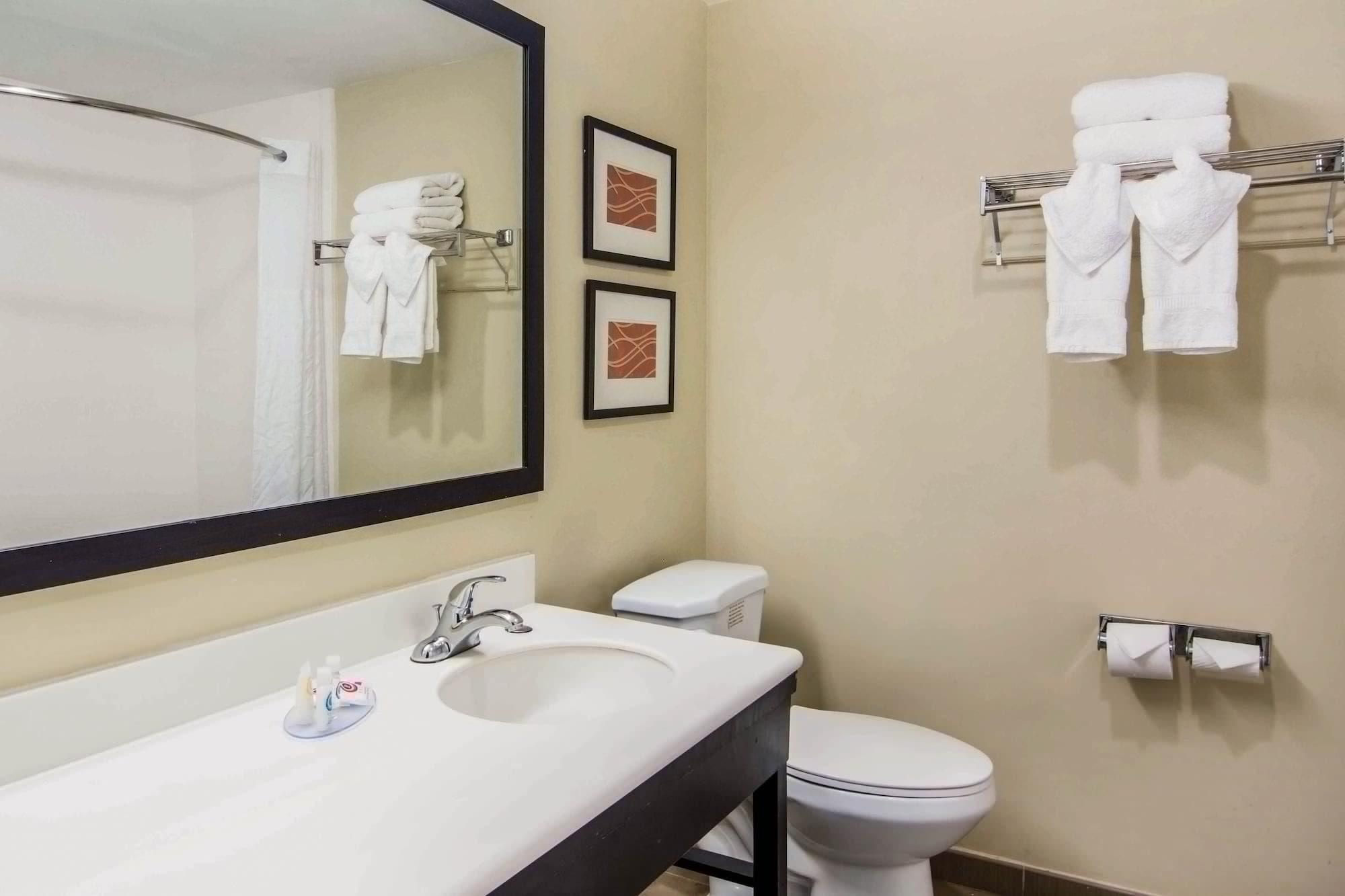 Comfort Inn Atlanta Downtown South Εξωτερικό φωτογραφία
