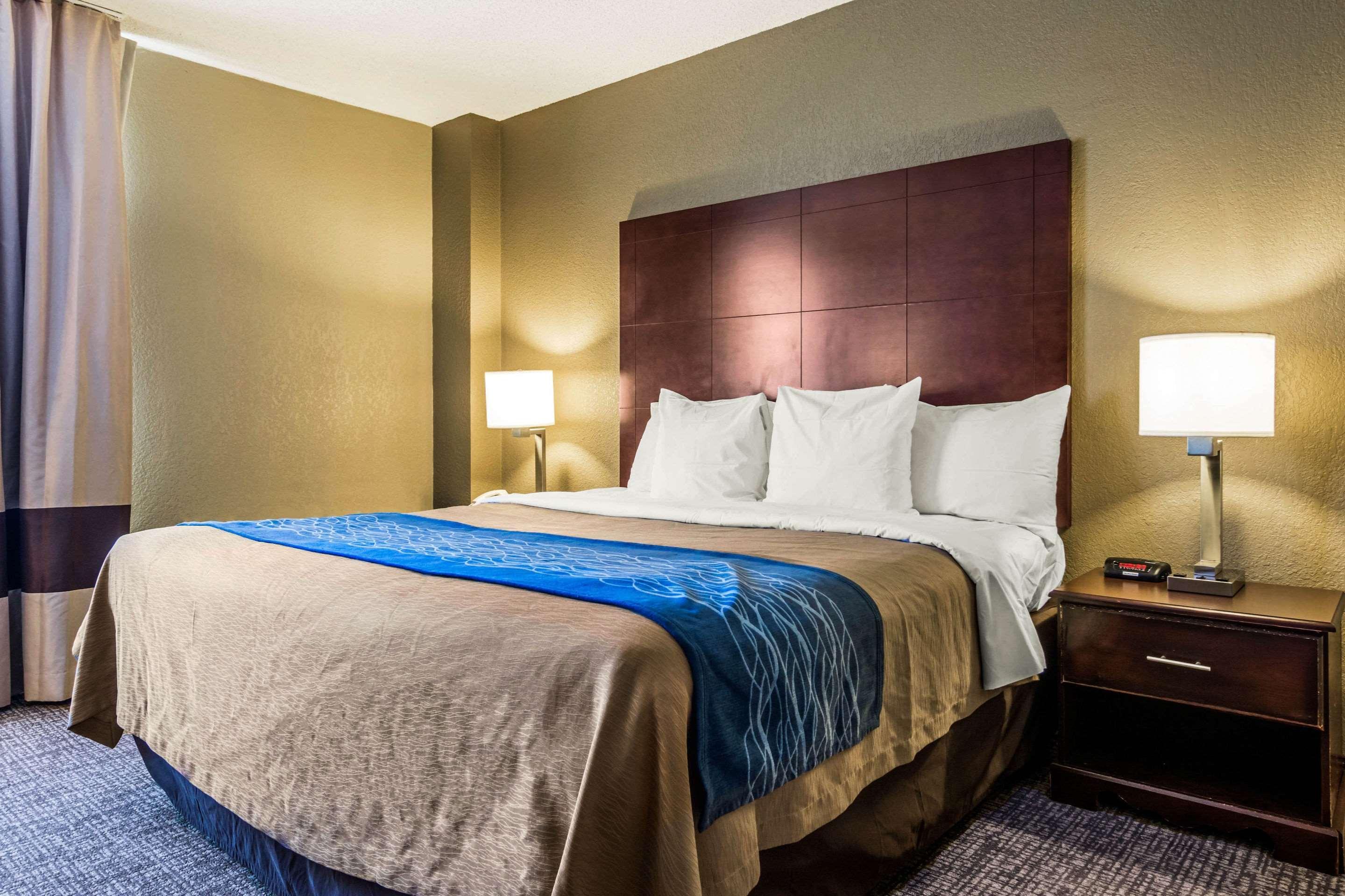 Comfort Inn Atlanta Downtown South Εξωτερικό φωτογραφία