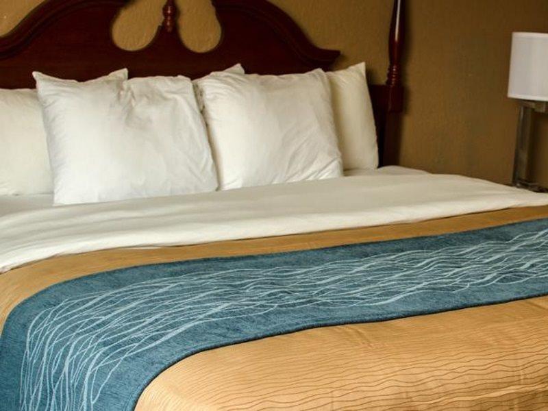 Comfort Inn Atlanta Downtown South Εξωτερικό φωτογραφία