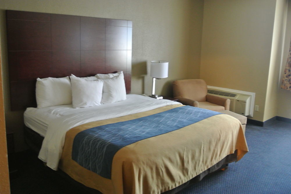 Comfort Inn Atlanta Downtown South Εξωτερικό φωτογραφία