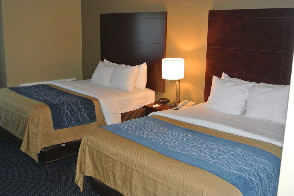 Comfort Inn Atlanta Downtown South Εξωτερικό φωτογραφία