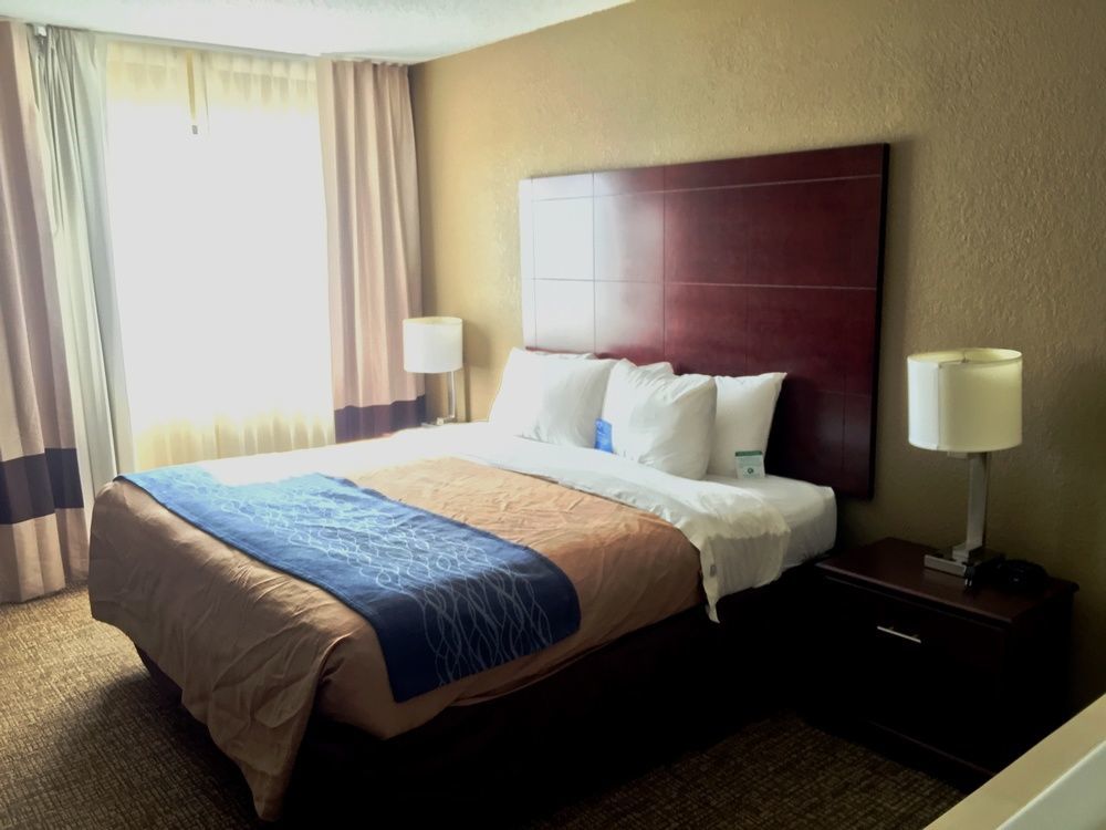 Comfort Inn Atlanta Downtown South Εξωτερικό φωτογραφία